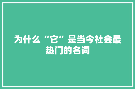 为什么“它”是当今社会最热门的名词 必应SEO