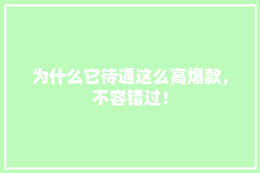 为什么它待遇这么高爆款，不容错过！
