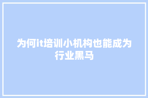 为何it培训小机构也能成为行业黑马 必应SEO