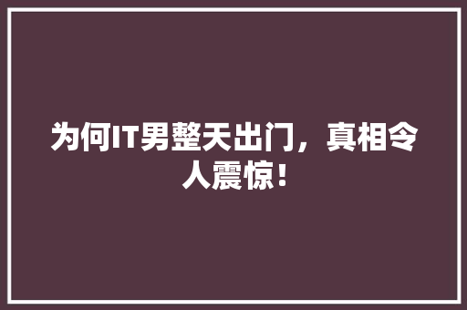 为何IT男整天出门，真相令人震惊！ 必应SEO