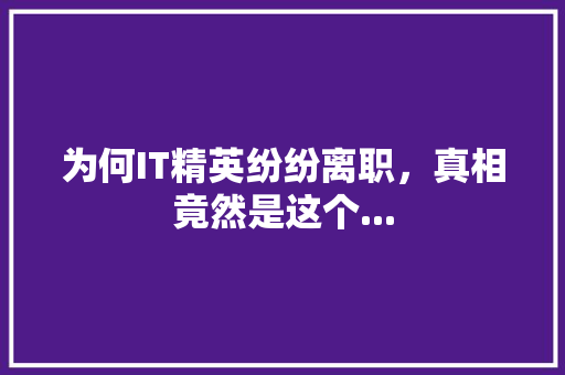 为何IT精英纷纷离职，真相竟然是这个... 必应SEO