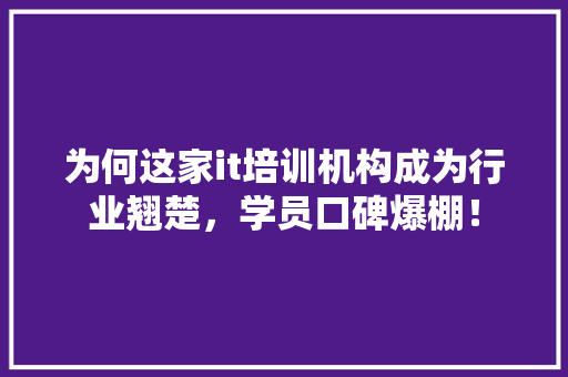 为何这家it培训机构成为行业翘楚，学员口碑爆棚！ GoogleSEO