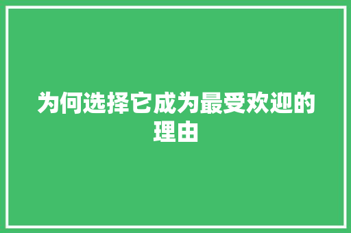 为何选择它成为最受欢迎的理由 百度SEO