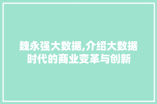 魏永强大数据,介绍大数据时代的商业变革与创新 必应SEO