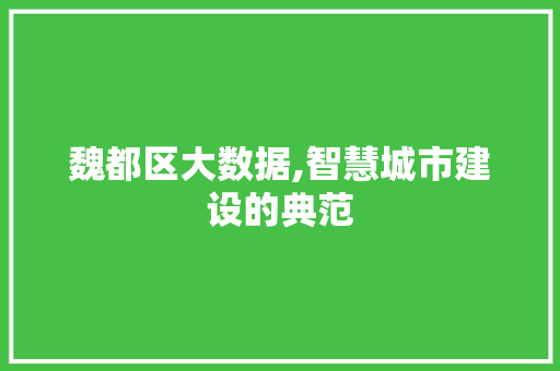 魏都区大数据,智慧城市建设的典范 搜狗SEO