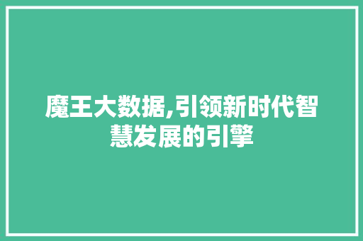 魔王大数据,引领新时代智慧发展的引擎 神马SEO
