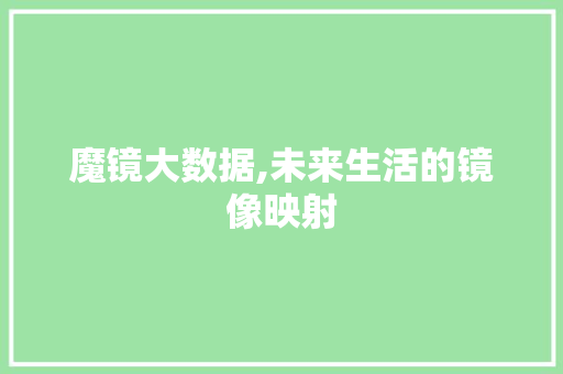 魔镜大数据,未来生活的镜像映射 必应SEO
