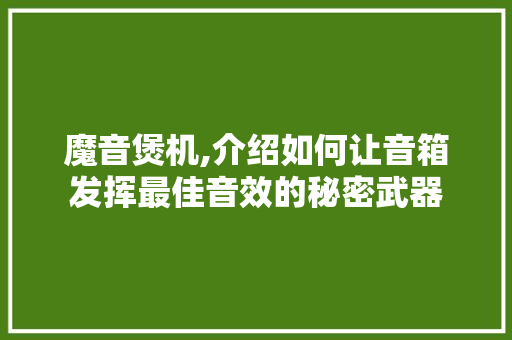 魔音煲机,介绍如何让音箱发挥最佳音效的秘密武器