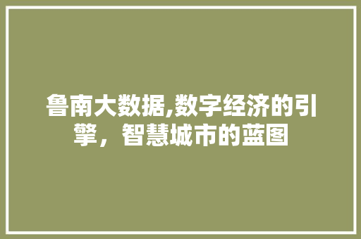 鲁南大数据,数字经济的引擎，智慧城市的蓝图 必应SEO