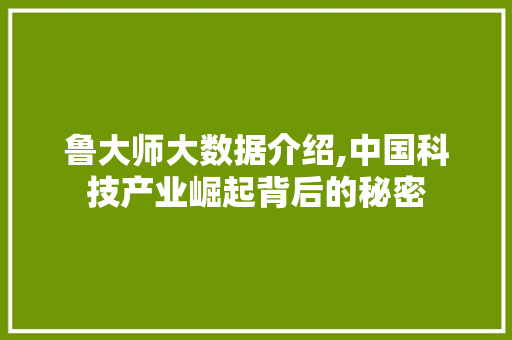鲁大师大数据介绍,中国科技产业崛起背后的秘密