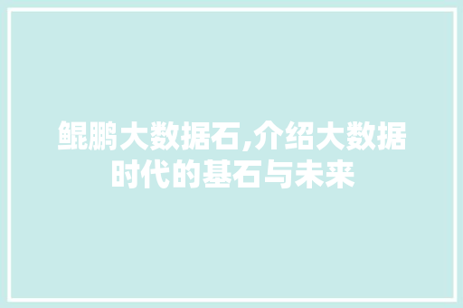 鲲鹏大数据石,介绍大数据时代的基石与未来 搜狗SEO