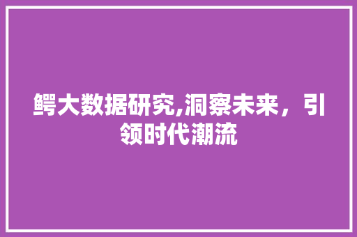 鳄大数据研究,洞察未来，引领时代潮流 神马SEO