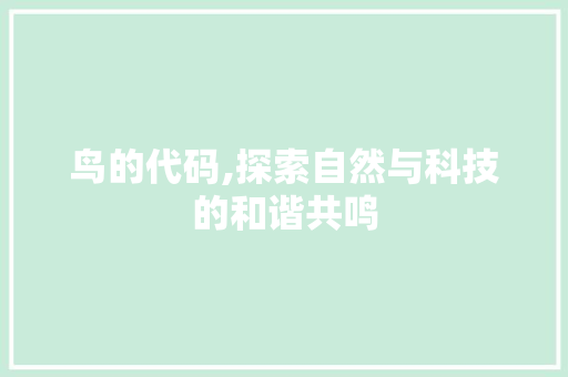 鸟的代码,探索自然与科技的和谐共鸣 必应SEO
