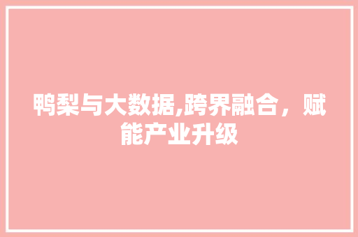 鸭梨与大数据,跨界融合，赋能产业升级 搜狗SEO