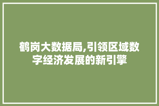 鹤岗大数据局,引领区域数字经济发展的新引擎 百度SEO