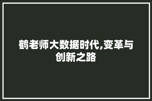 鹤老师大数据时代,变革与创新之路 百度SEO