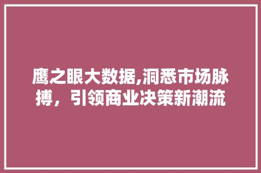 鹰之眼大数据,洞悉市场脉搏，引领商业决策新潮流 搜狗SEO