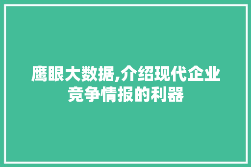 鹰眼大数据,介绍现代企业竞争情报的利器 神马SEO