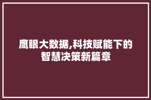 鹰眼大数据,科技赋能下的智慧决策新篇章 必应SEO