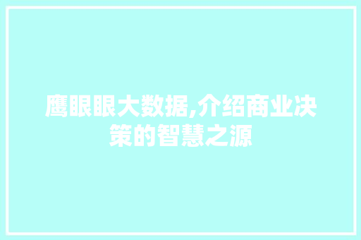 鹰眼眼大数据,介绍商业决策的智慧之源 必应SEO