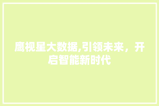 鹰视星大数据,引领未来，开启智能新时代 必应SEO