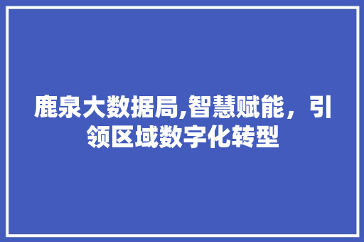 鹿泉大数据局,智慧赋能，引领区域数字化转型 必应SEO