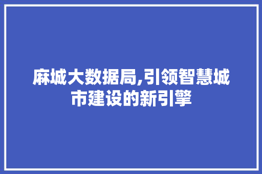 麻城大数据局,引领智慧城市建设的新引擎 百度SEO
