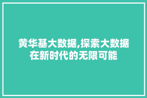 黄华基大数据,探索大数据在新时代的无限可能 必应SEO