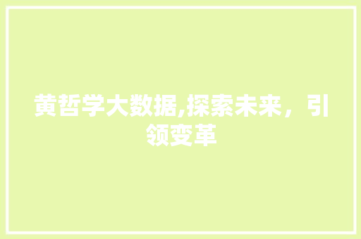 黄哲学大数据,探索未来，引领变革 必应SEO