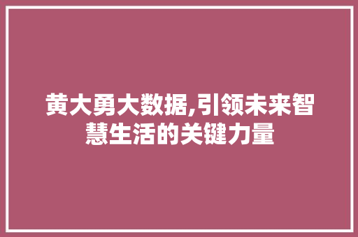 黄大勇大数据,引领未来智慧生活的关键力量 GoogleSEO