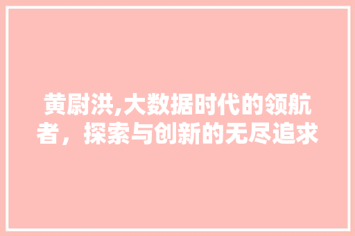 黄尉洪,大数据时代的领航者，探索与创新的无尽追求 GoogleSEO