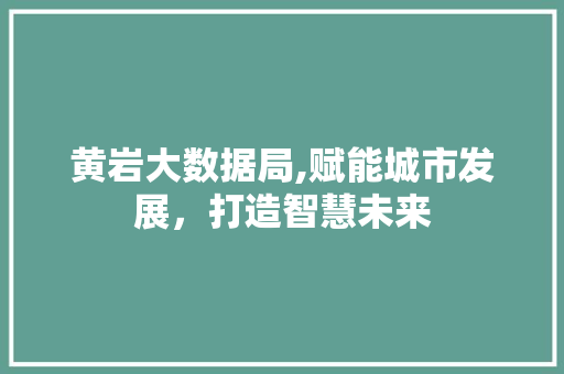 黄岩大数据局,赋能城市发展，打造智慧未来 GoogleSEO