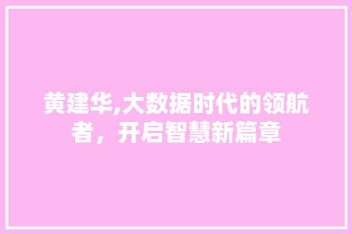 黄建华,大数据时代的领航者，开启智慧新篇章
