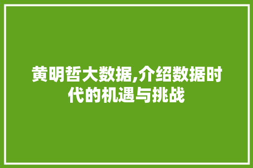 黄明哲大数据,介绍数据时代的机遇与挑战 百度SEO