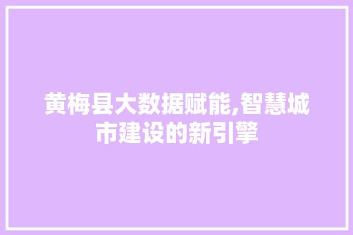 黄梅县大数据赋能,智慧城市建设的新引擎 神马SEO