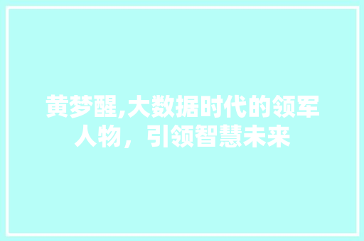 黄梦醒,大数据时代的领军人物，引领智慧未来 神马SEO