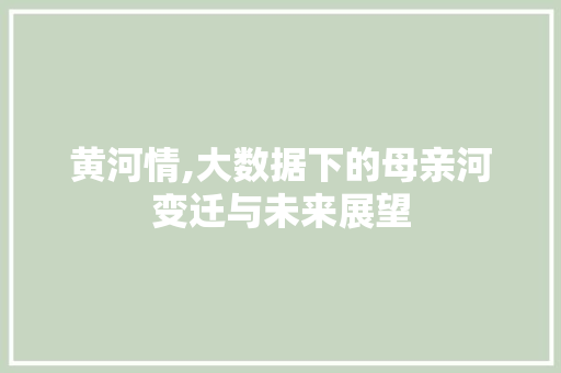 黄河情,大数据下的母亲河变迁与未来展望 神马SEO