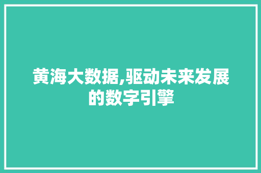 黄海大数据,驱动未来发展的数字引擎 神马SEO