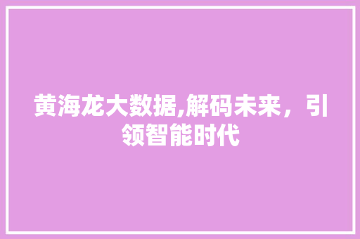 黄海龙大数据,解码未来，引领智能时代 必应SEO
