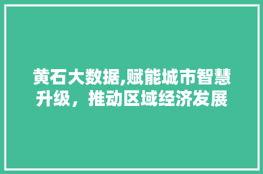 黄石大数据,赋能城市智慧升级，推动区域经济发展 搜狗SEO