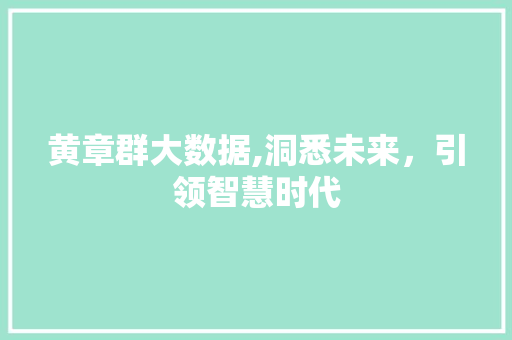黄章群大数据,洞悉未来，引领智慧时代 GoogleSEO