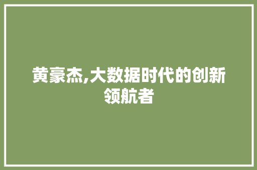 黄豪杰,大数据时代的创新领航者 GoogleSEO