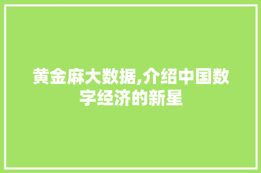 黄金麻大数据,介绍中国数字经济的新星 神马SEO