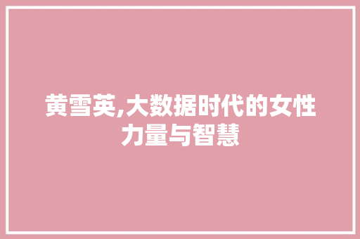 黄雪英,大数据时代的女性力量与智慧 GoogleSEO