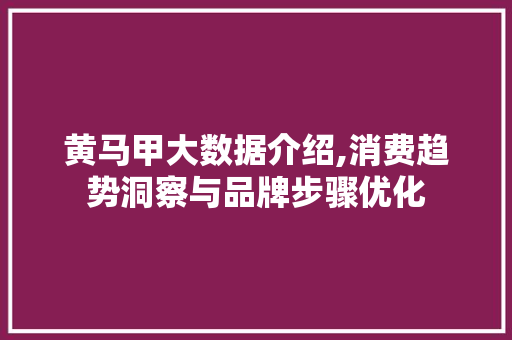 黄马甲大数据介绍,消费趋势洞察与品牌步骤优化 百度SEO