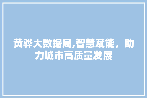 黄骅大数据局,智慧赋能，助力城市高质量发展 神马SEO