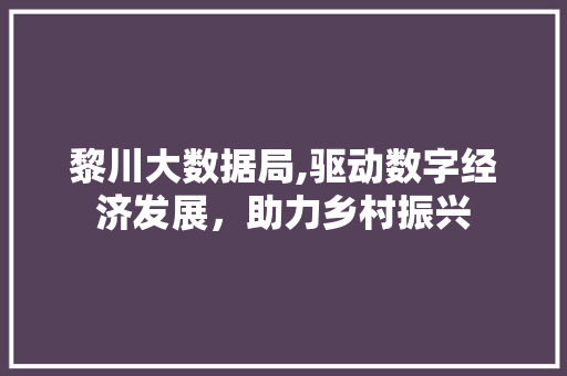 黎川大数据局,驱动数字经济发展，助力乡村振兴 神马SEO