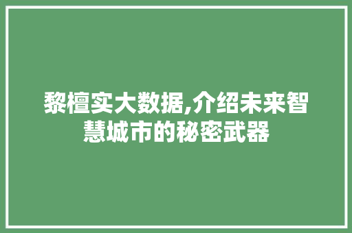黎檀实大数据,介绍未来智慧城市的秘密武器 必应SEO