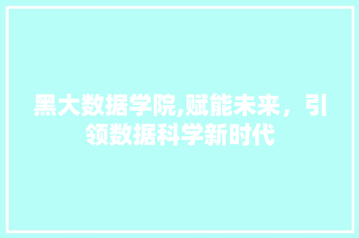 黑大数据学院,赋能未来，引领数据科学新时代 百度SEO