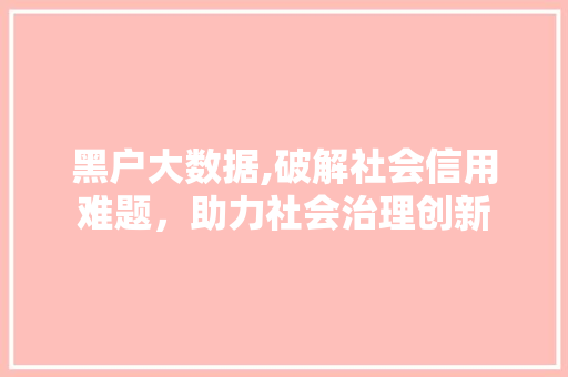 黑户大数据,破解社会信用难题，助力社会治理创新 神马SEO